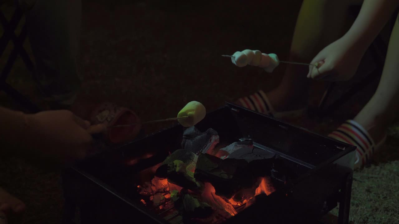 一群孩子在篝火上烤棉花糖的特写视频素材