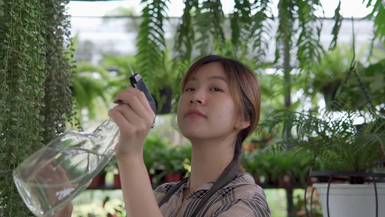 年轻女花匠在花店工作时，用清水喷洒植物叶片视频下载