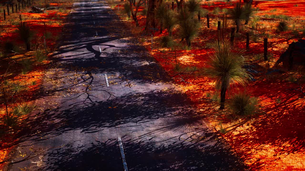 澳大利亚有灌木的开阔道路视频下载