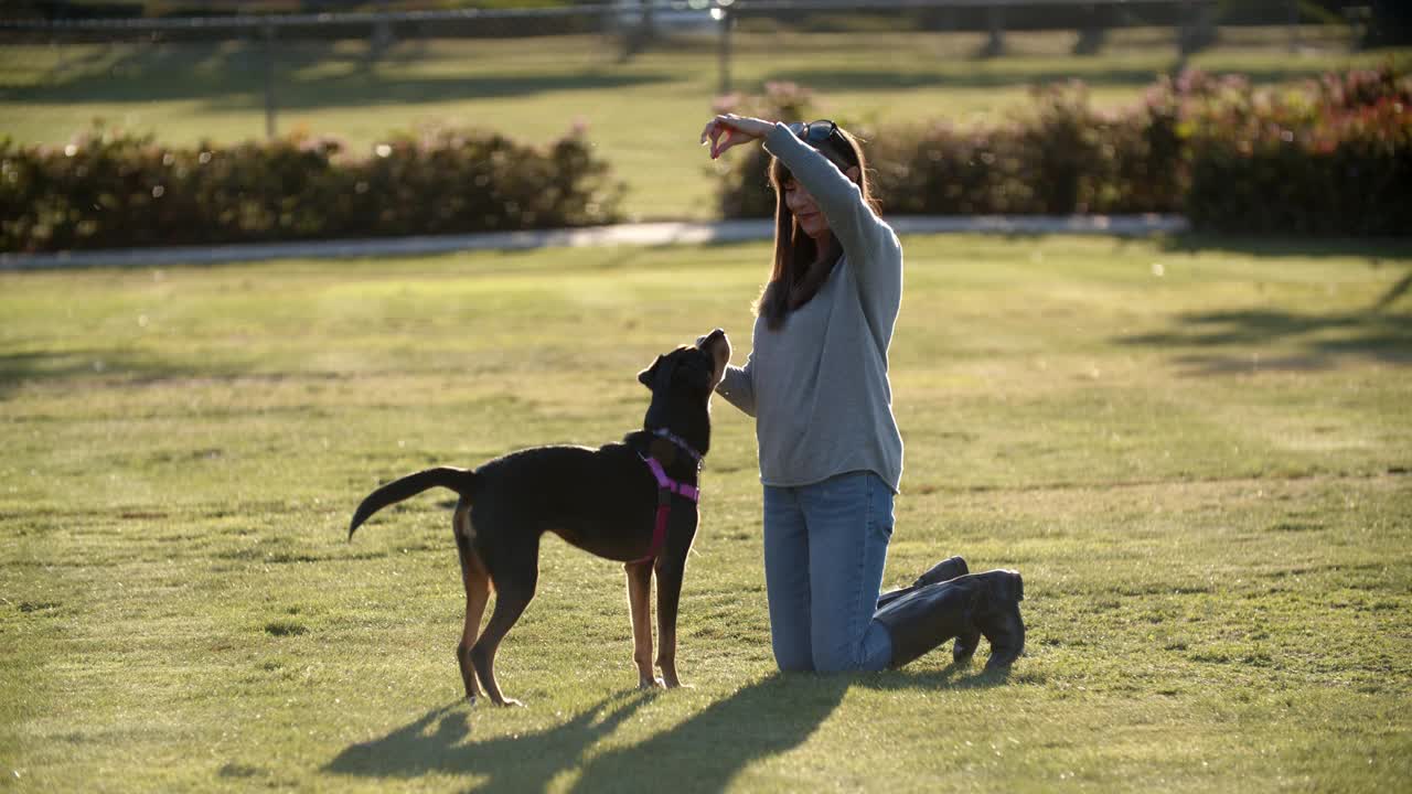 成熟的女人在公园里和她的狗玩视频下载