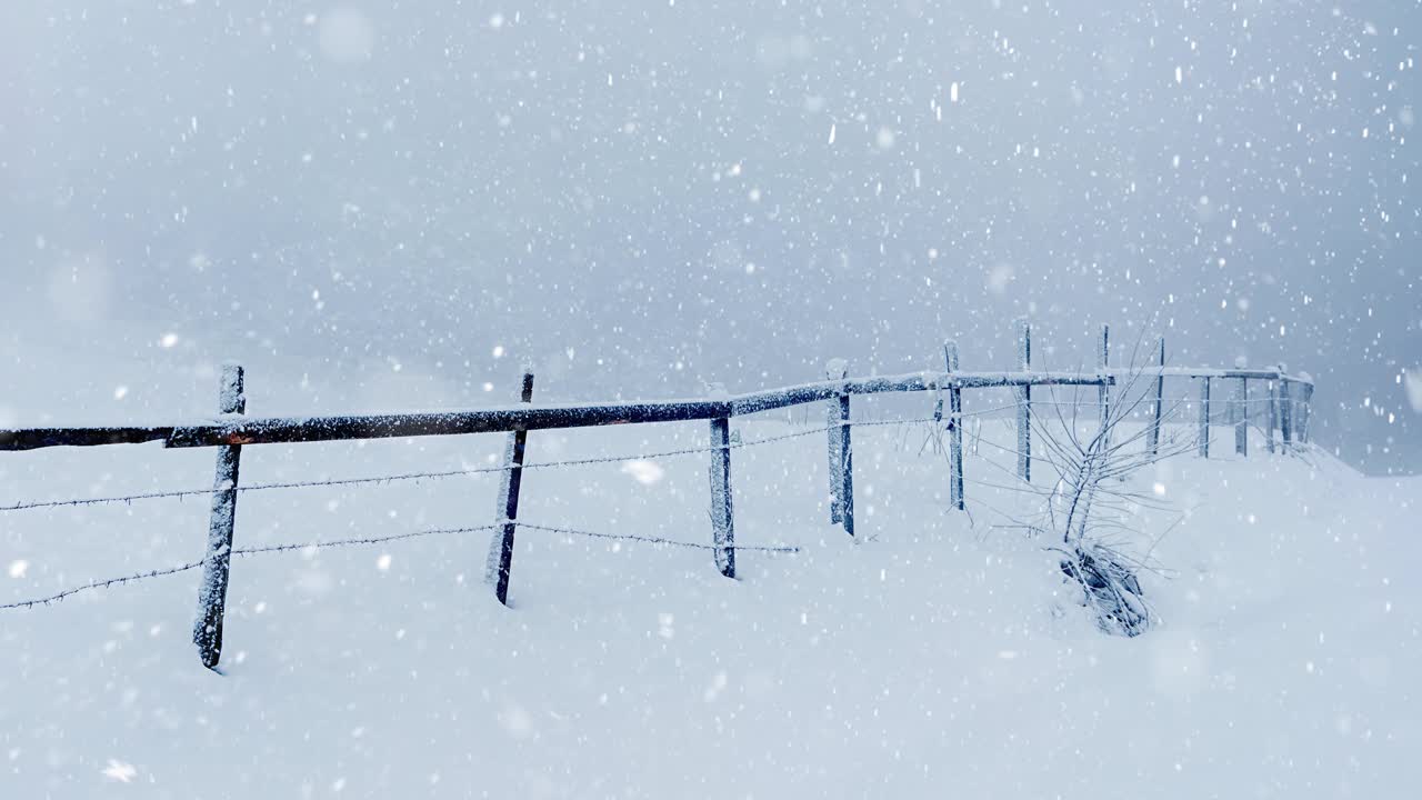 4k视频自然降雪背景视频下载