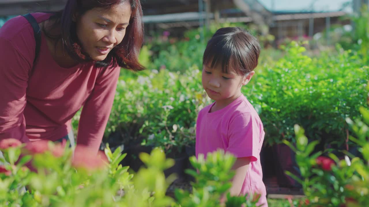 亚洲妇女和女儿在树店购买植物。视频下载