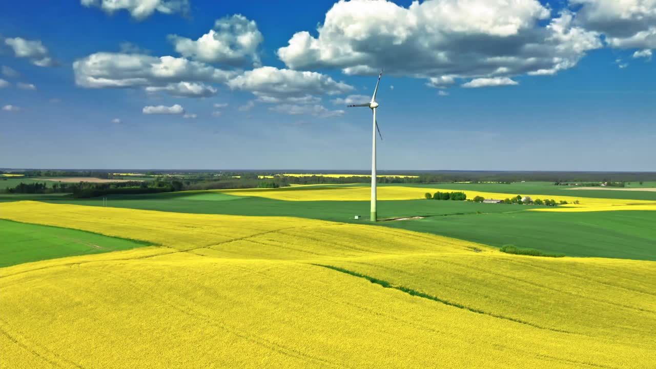 令人惊叹的黄色油菜田和乡村的风力涡轮机。视频下载