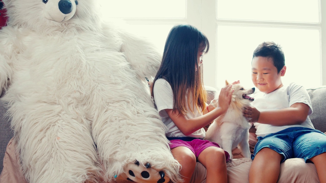 一个男孩和一个女孩，两个兄弟，和他们心爱的狗玩。视频下载