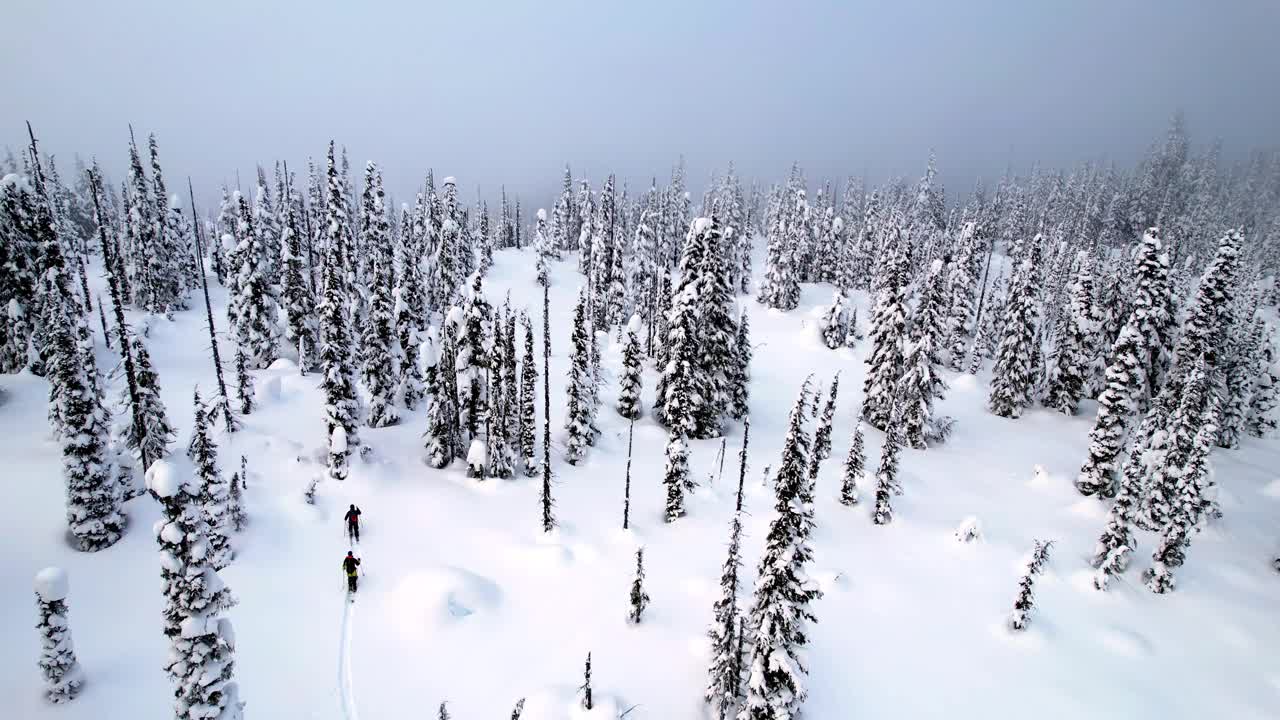 滑雪旅行的无人机镜头视频素材