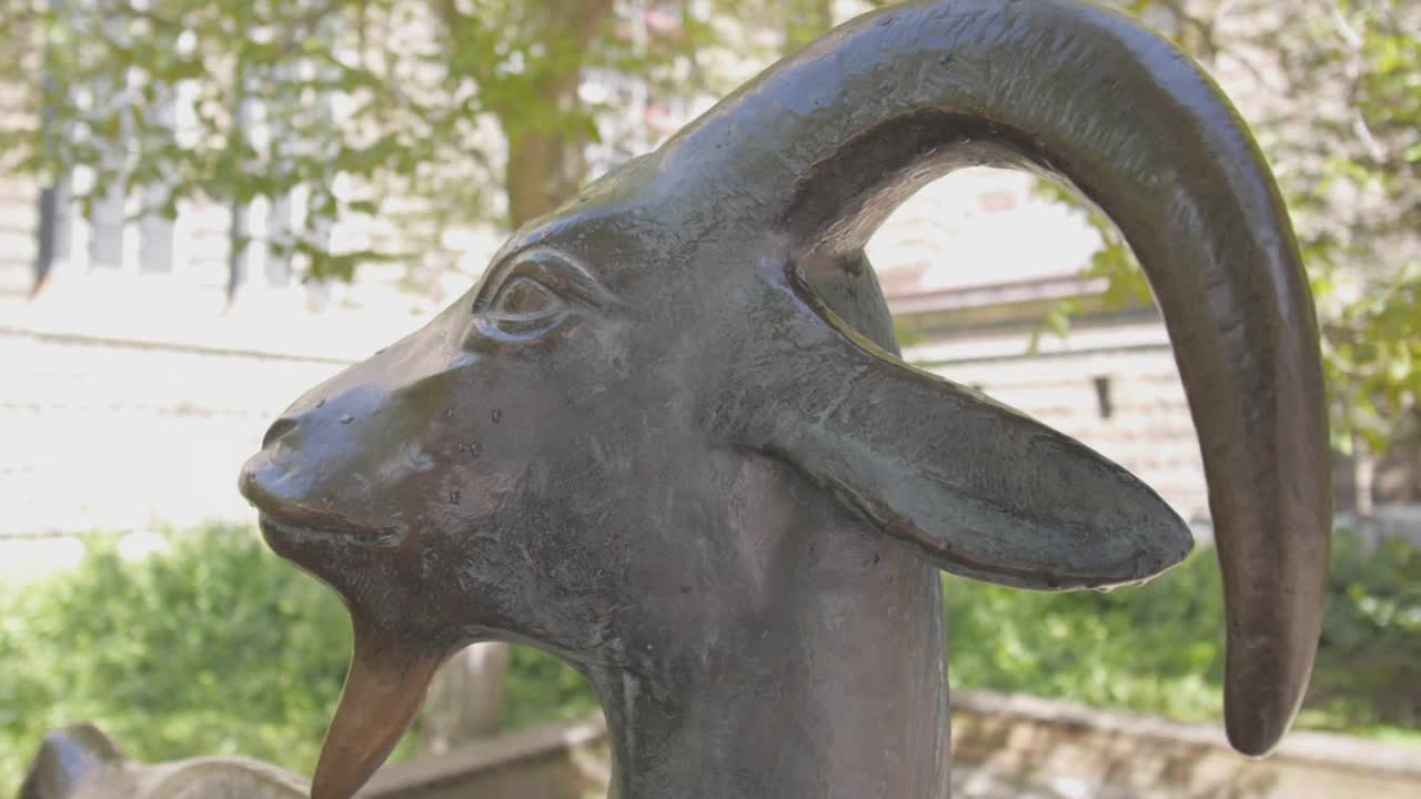 一个青铜山羊雕像的细节镜头视频下载