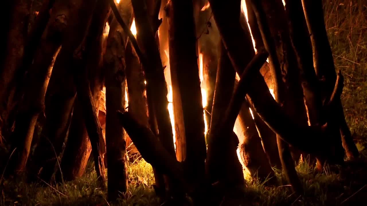 柴堆在夜里燃烧视频素材