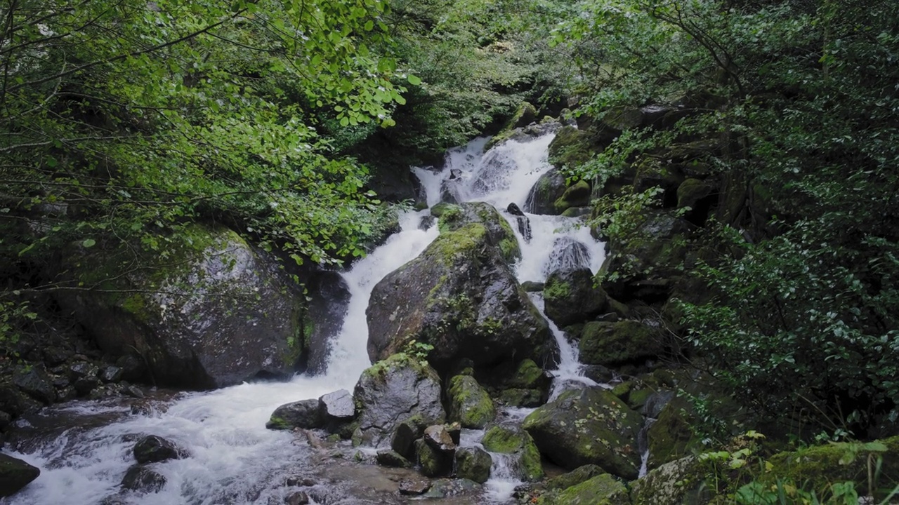 瀑布在树木和石头之间视频素材