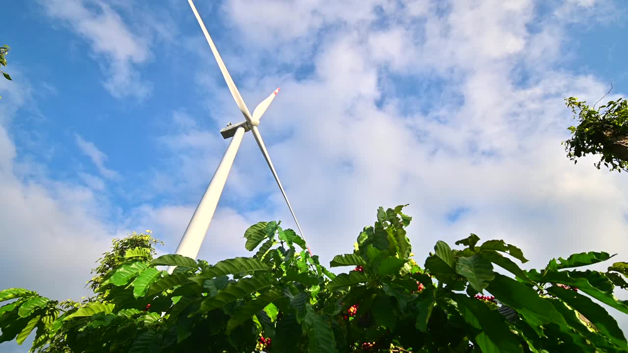 在美丽的多云天空上，风力发电的农场视频素材