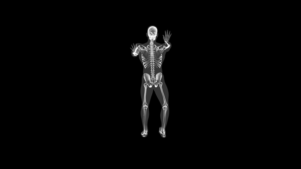 人体x光透视身体及骨骼，瑜伽伸展上观环视频下载