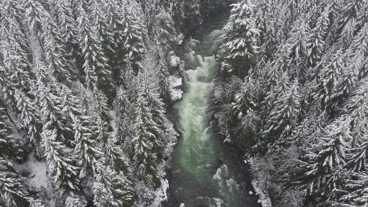 白雪皑皑的冬天风景与流淌的河流视频下载