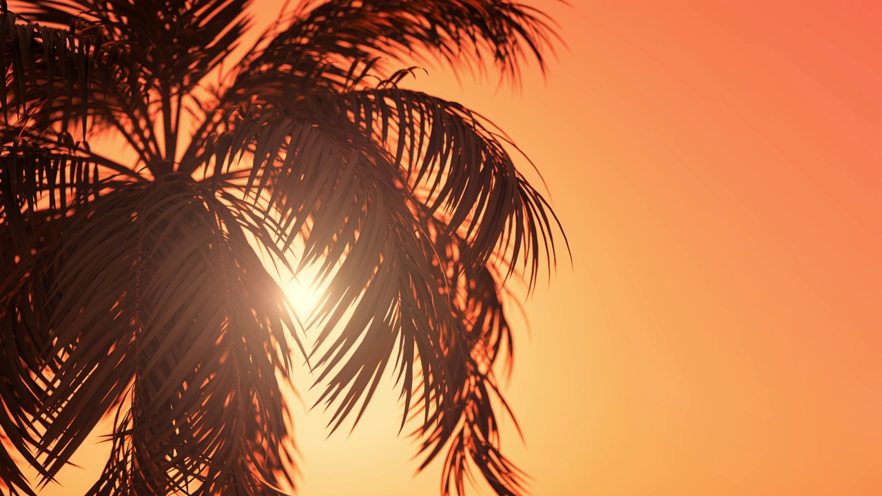 假期棕榈树背景动画与复制空间。视频下载