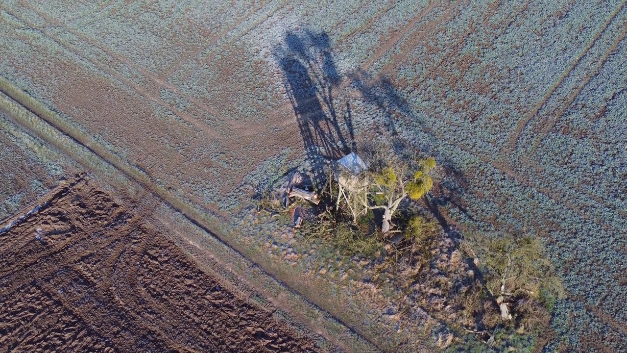 无人机飞过有苹果树和高座的田野，鸟瞰视频下载