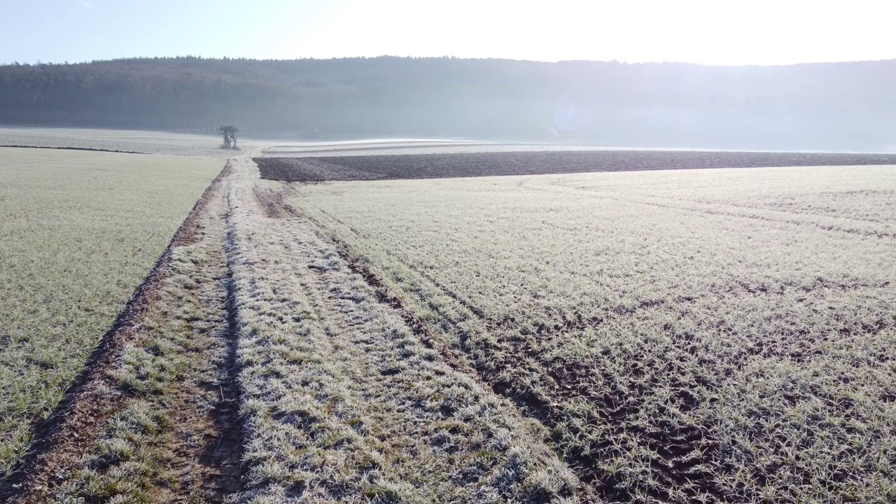 无人机在冬季穿过田野的路径上飞行，鸟瞰图视频素材