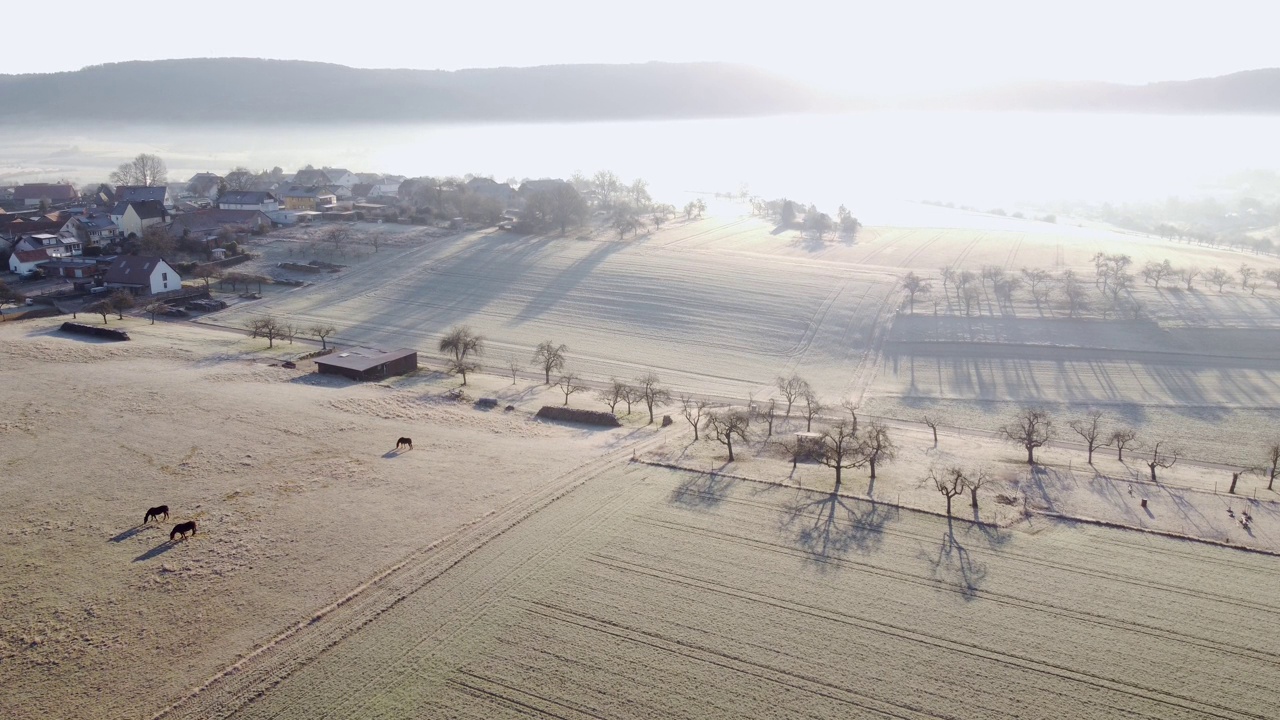 冬季无人机飞过农田，田园风光，鸟瞰图视频素材
