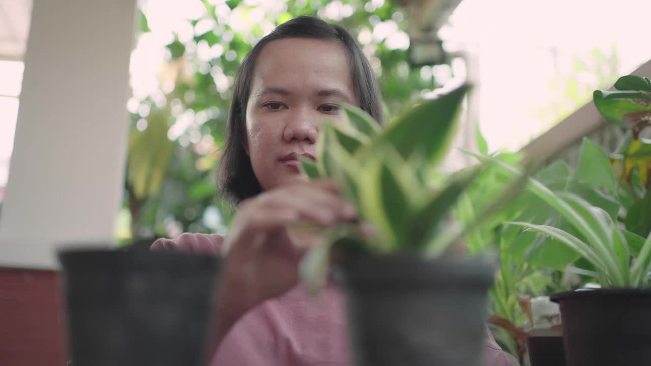女人移花盆种植植物视频下载