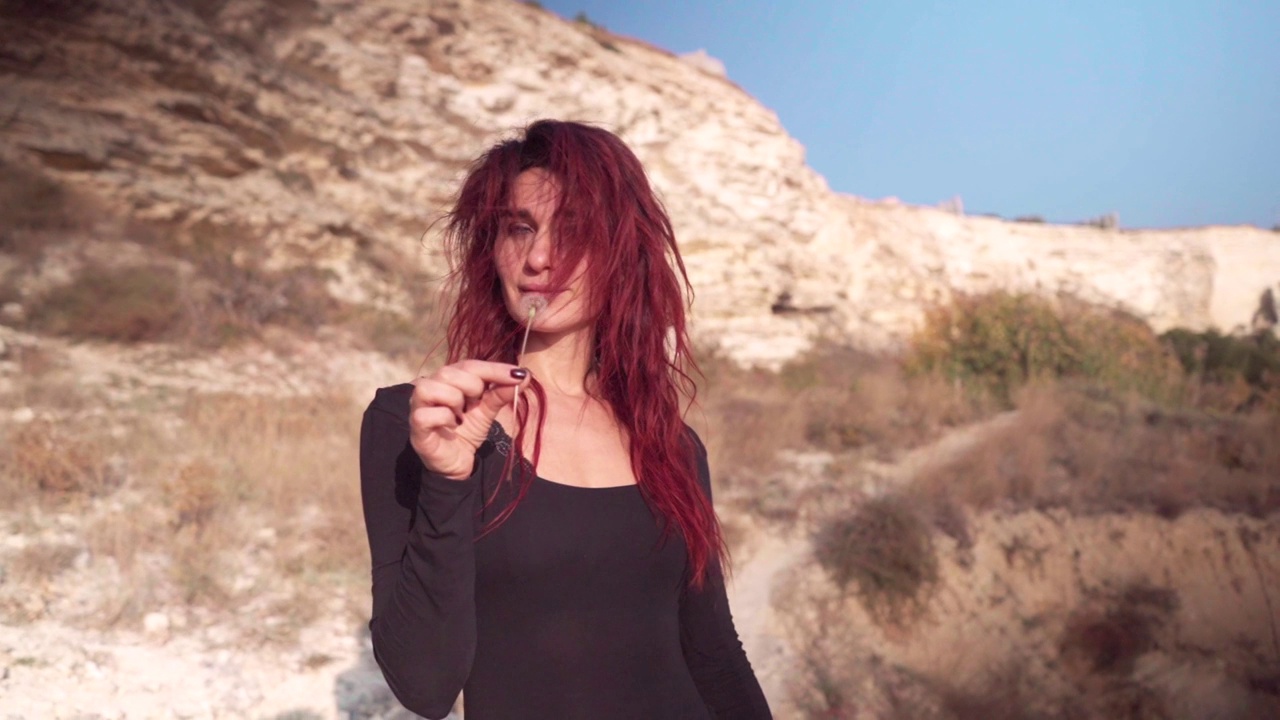 令人惊叹的红发女人的肖像，在落基山脉的自然，和平和自由的气氛中抱着蒲公英视频素材