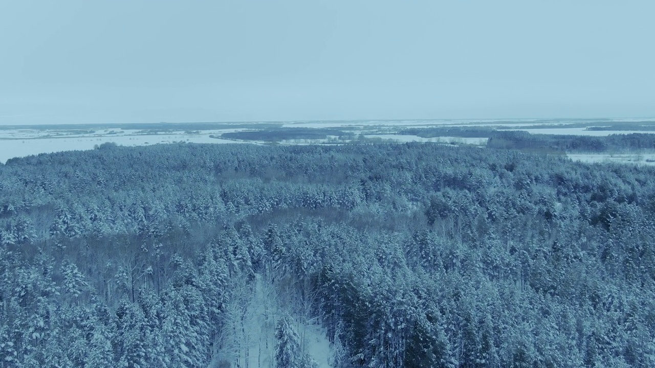 在冬天，直升机飞过乡村，一切都被雪覆盖着。田野和森林屹立在皑皑白雪之中，大自然的北方。冬天景色美得出奇。4 k, ProRes视频素材