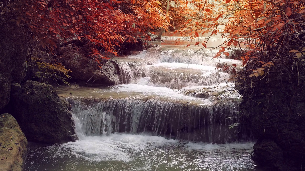 秋天森林里美丽的瀑布视频下载