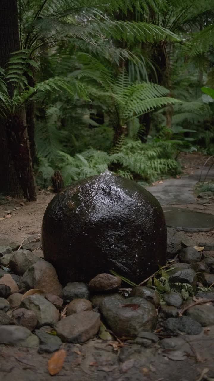 水从岩石中涌出视频下载