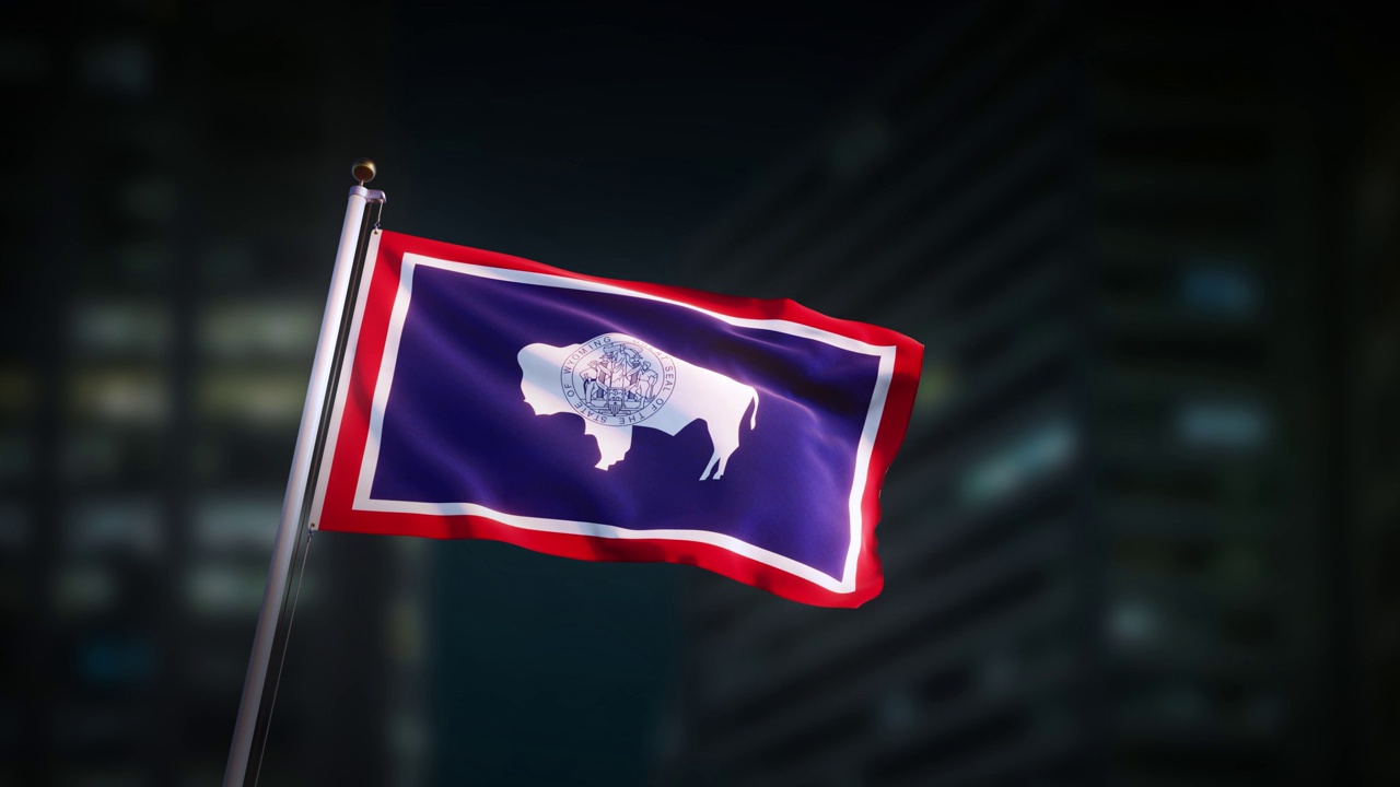 怀俄明州的旗帜在夜晚飘扬。3d渲染动画4k。视频素材