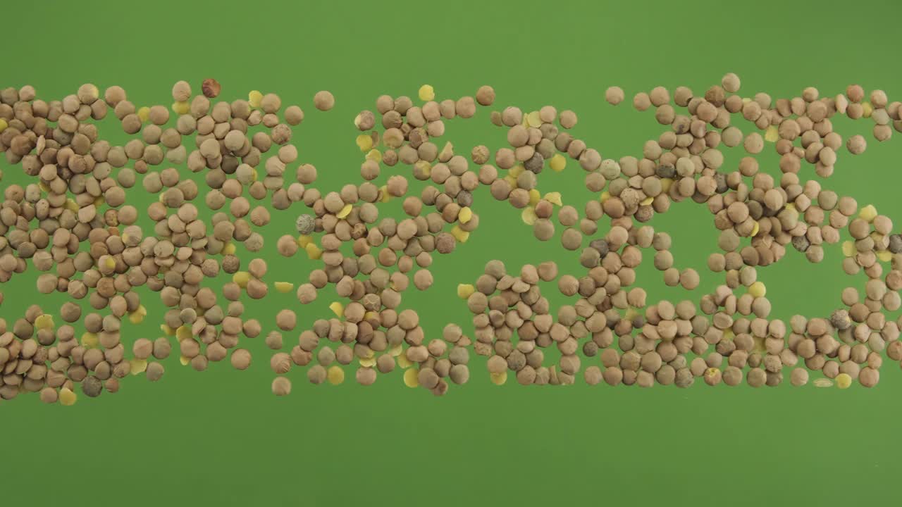 小扁豆条纹孤立在绿屏上。俯视图视频下载