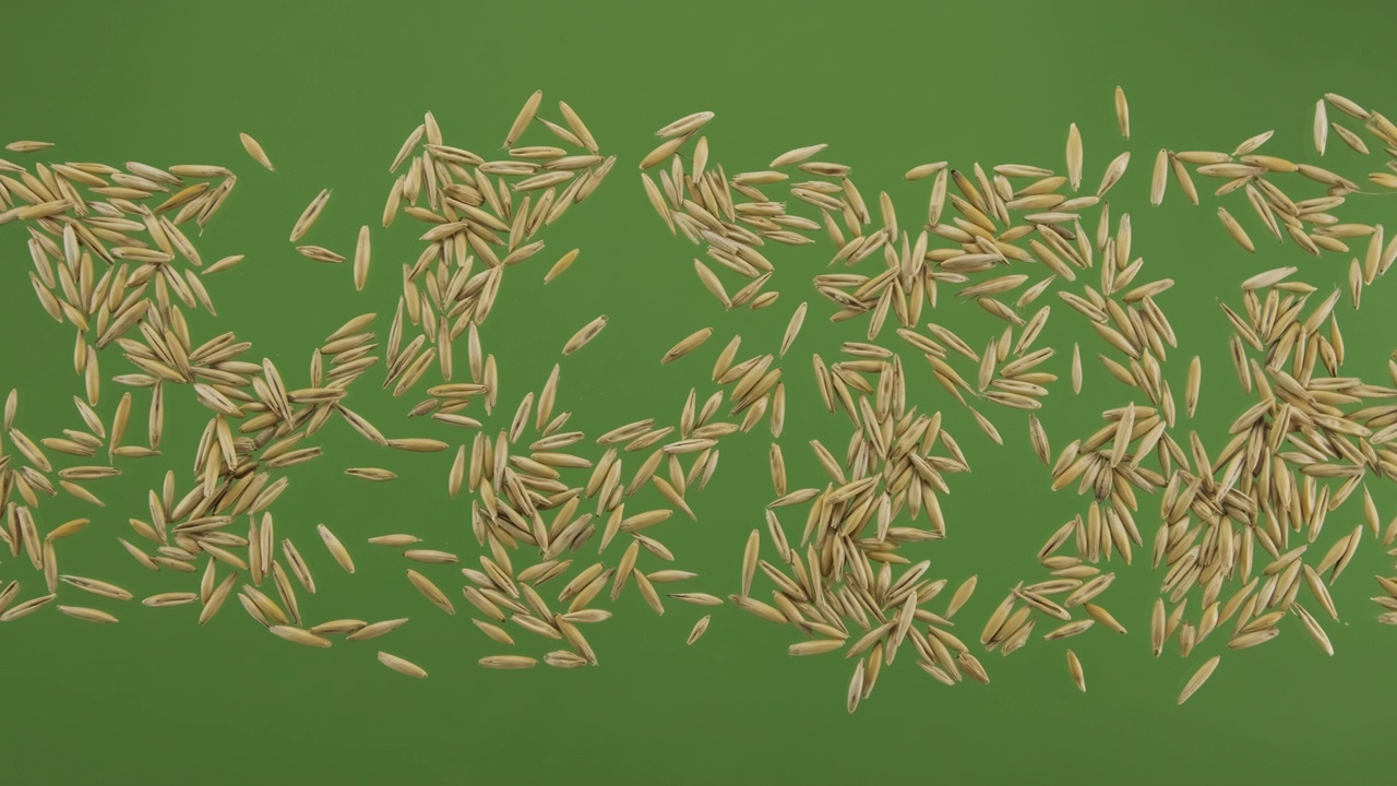 燕麦粒条纹隔离在绿屏上。俯视图视频下载