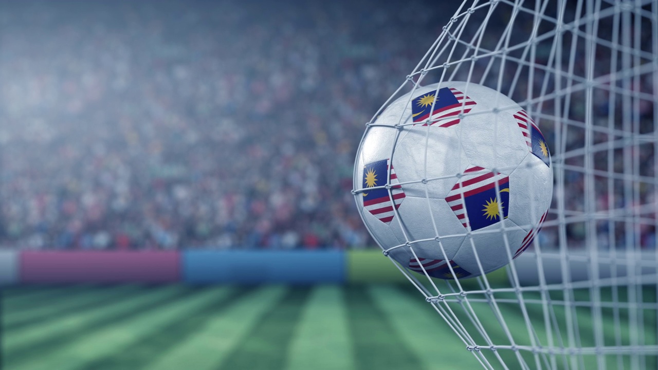 足球网内的球上有马来西亚国旗。概念3 d动画视频下载