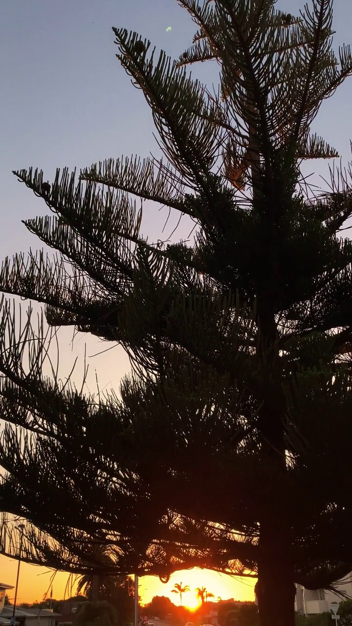 新西兰奥克兰奥莱瓦市的日落视频下载