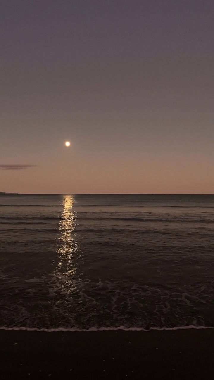 新西兰奥克兰奥雷瓦海滩的月光视频下载