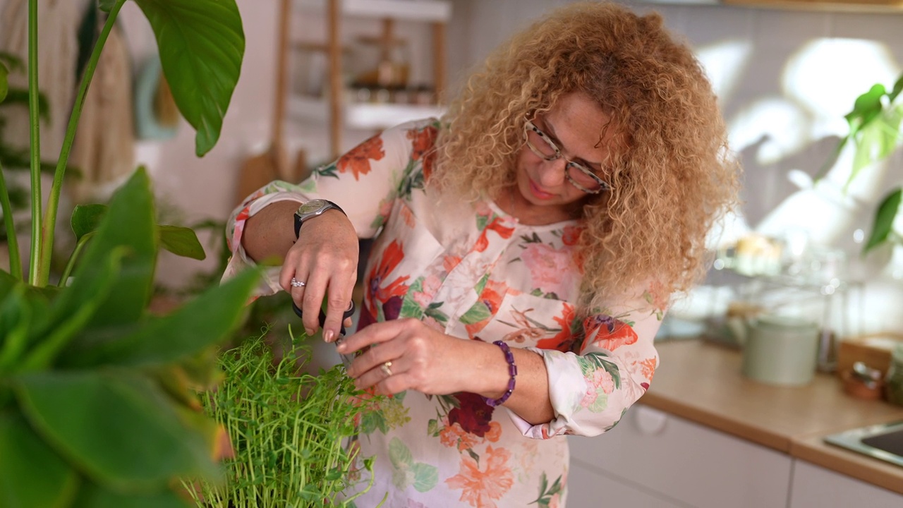 成熟的女人在家里种植微绿色植物视频下载