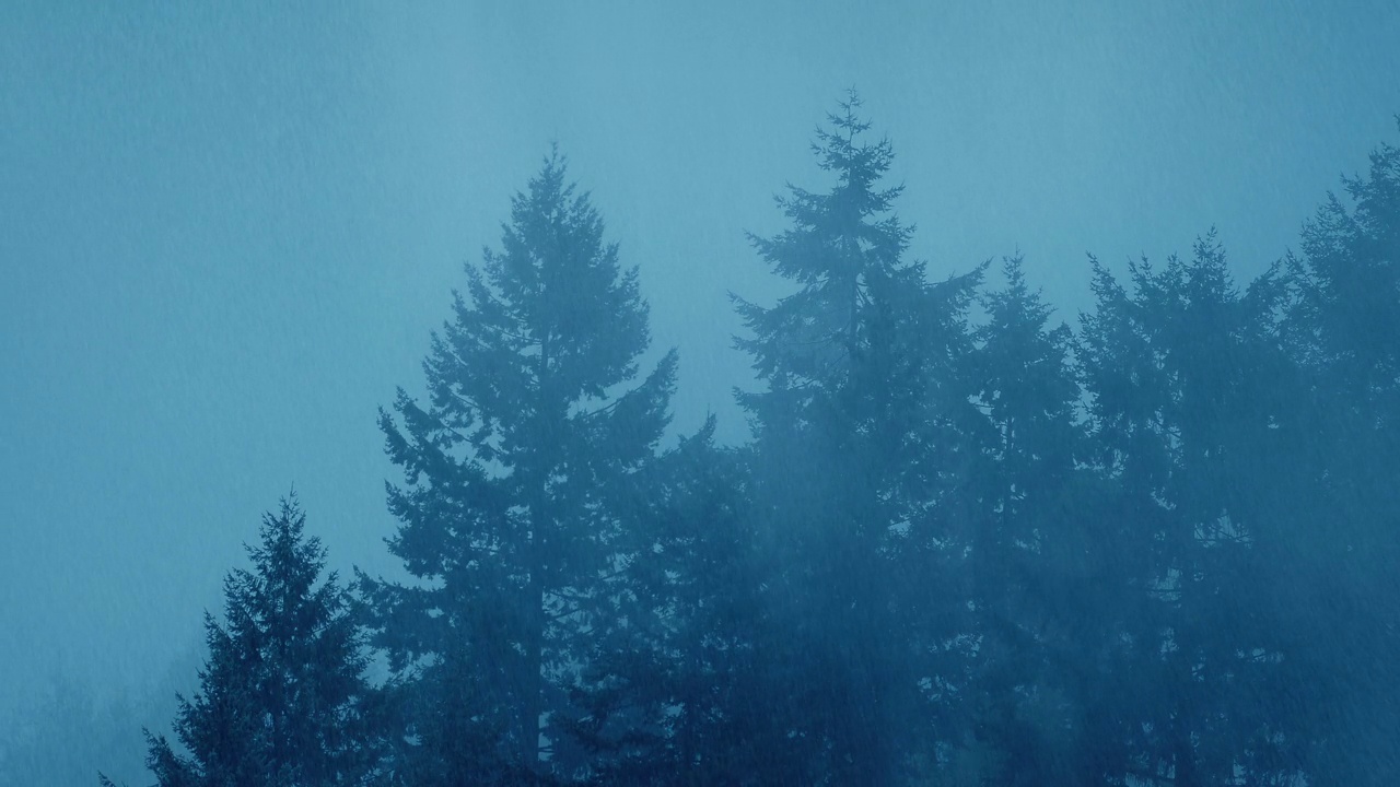 雾蒙蒙的森林上大雨滂沱视频素材