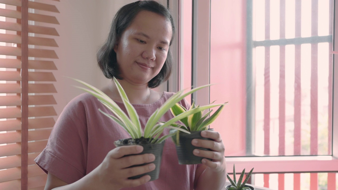 女人在家里靠窗的植物上放松视频下载