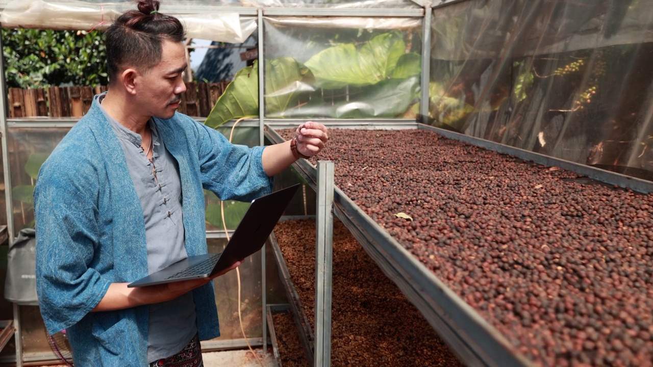 一名亚洲男子在咖啡种植园检查咖啡豆的质量视频素材