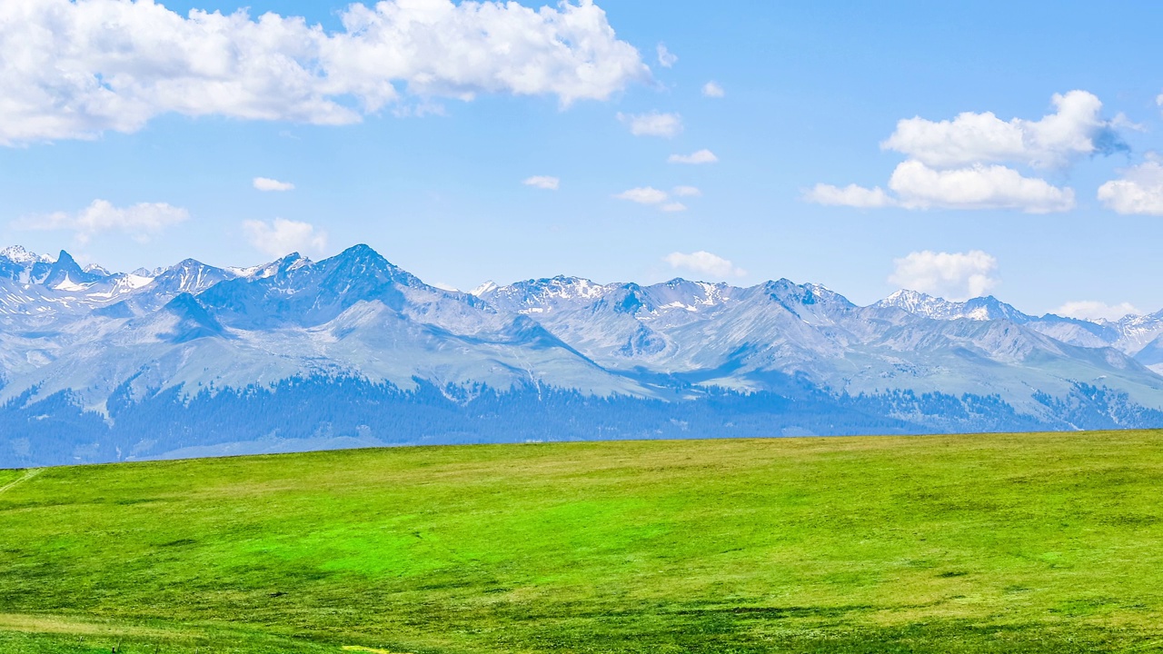 新疆绿色草原自然风光视频素材