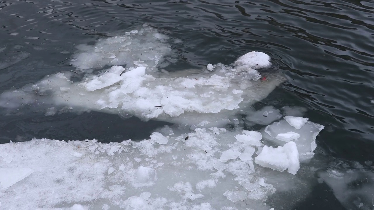 18、河面浮冰，水库春水涨视频下载