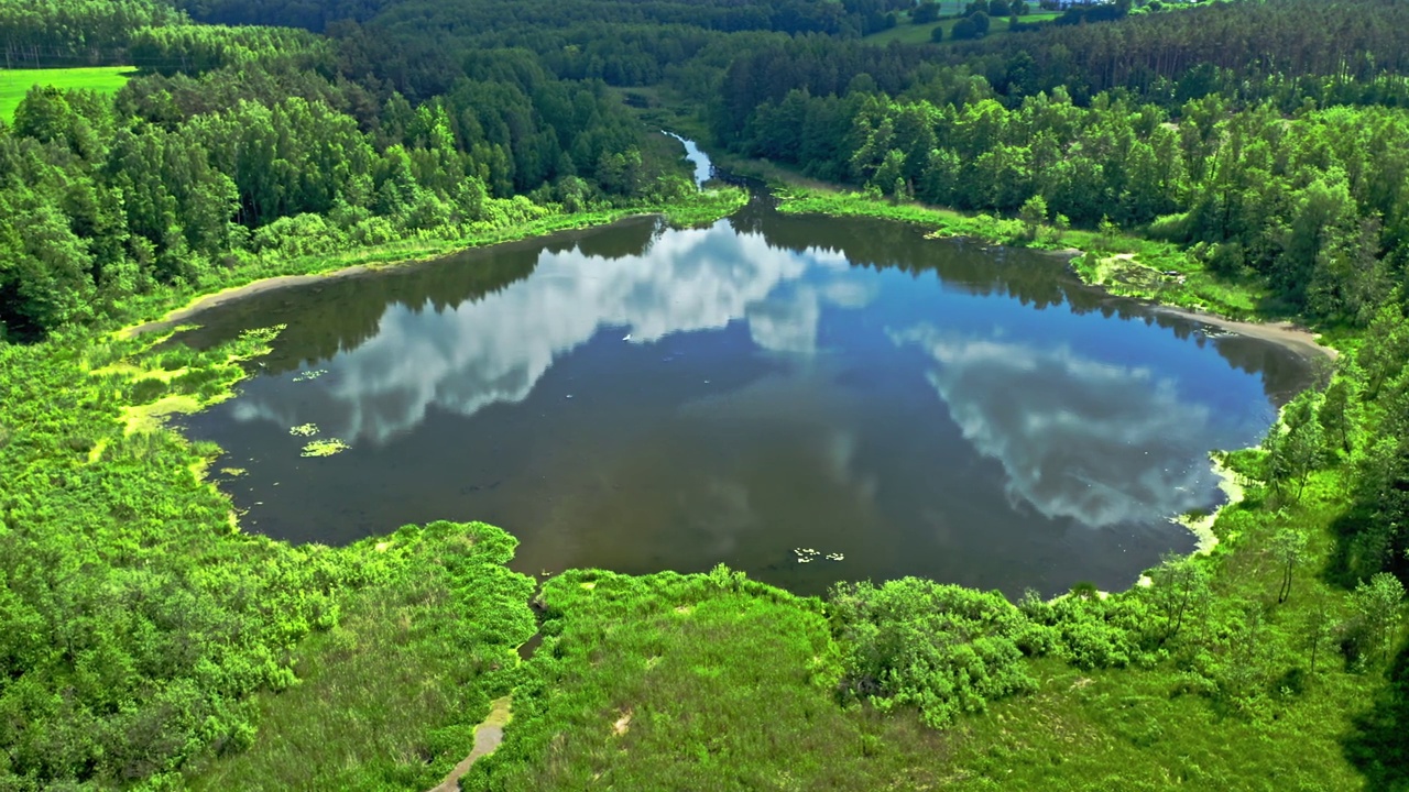 夏天在森林里的湖泊。波兰鸟瞰图视频下载