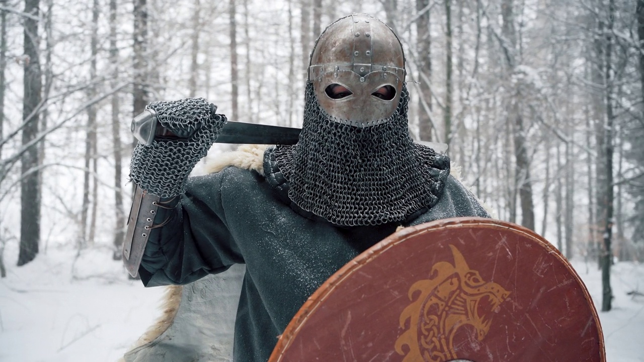 森林中手持剑盾的骑士画像视频素材
