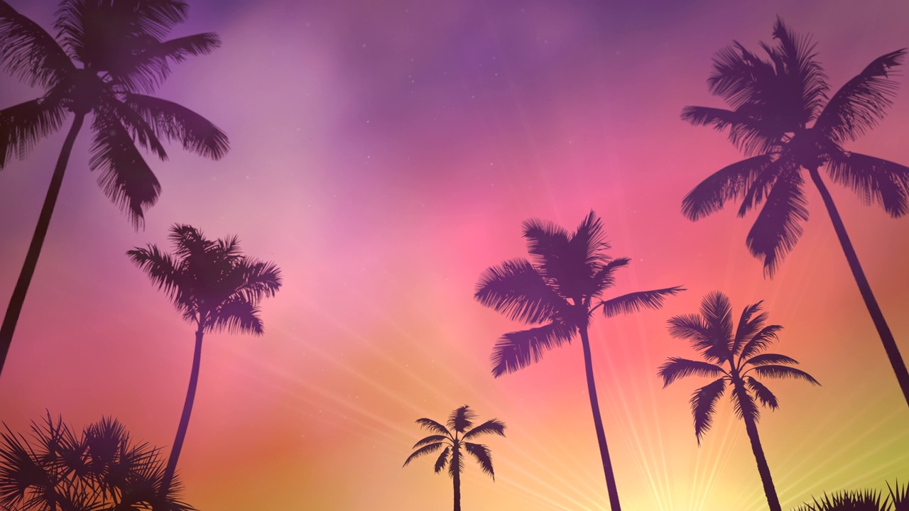 带有紫色阳光的热带棕榈树视频下载