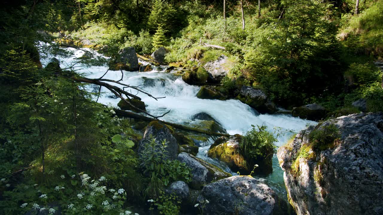 奥地利哈尔施塔特附近的Waldbachstrub Wasserfall视频下载