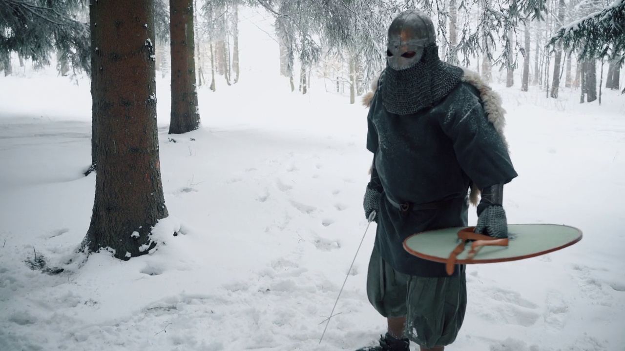 中世纪的武士和骑士，在森林里战斗视频素材