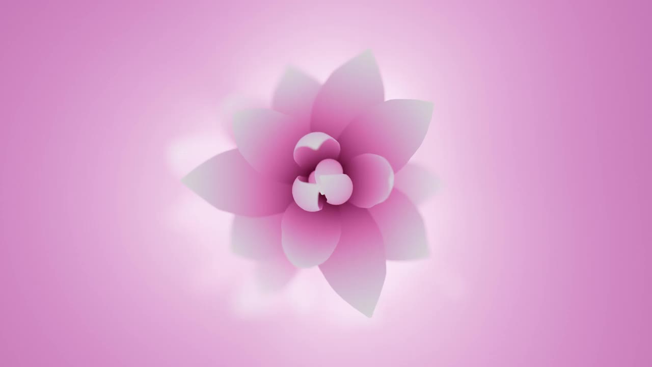 粉红色莲花环顶视图视频素材