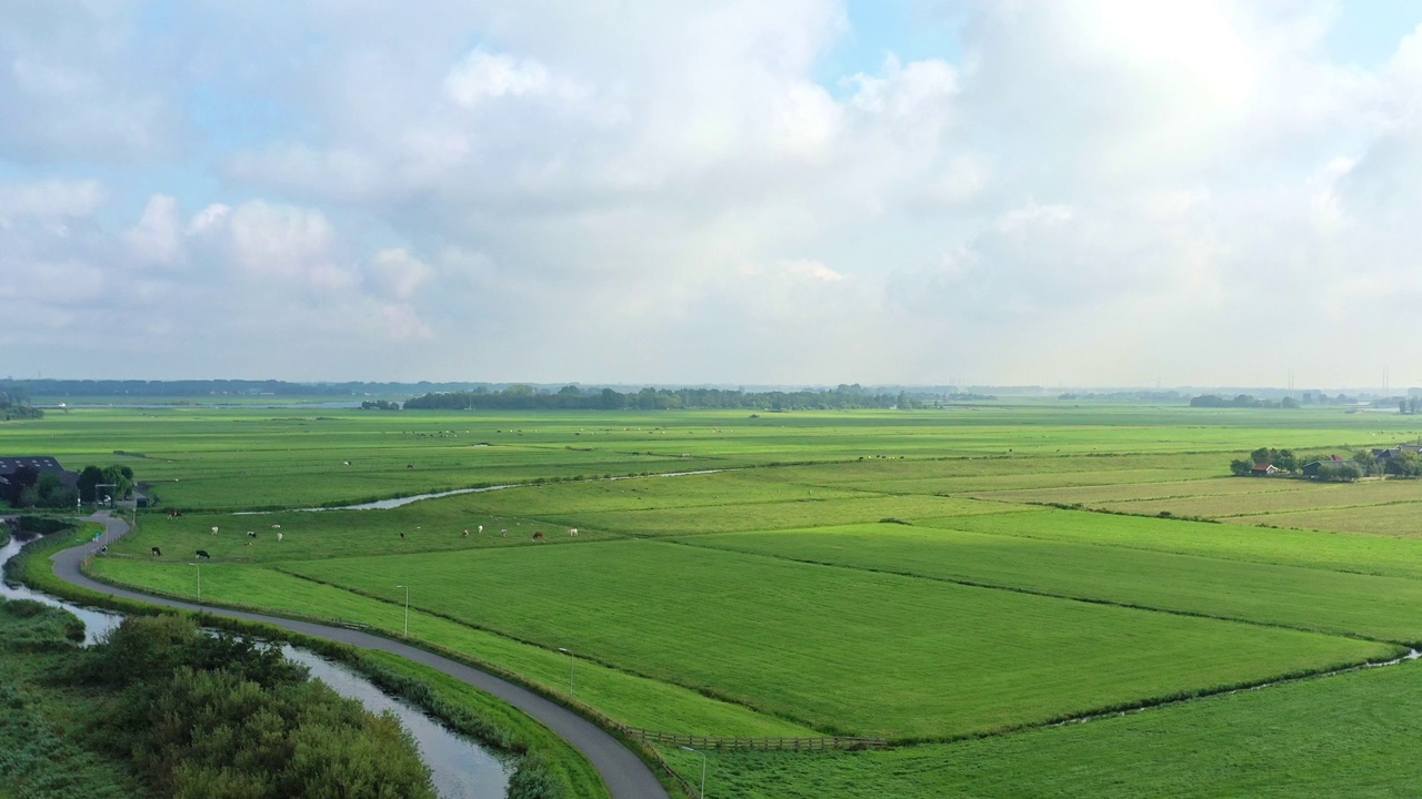 典型的荷兰圩田景观。视频下载