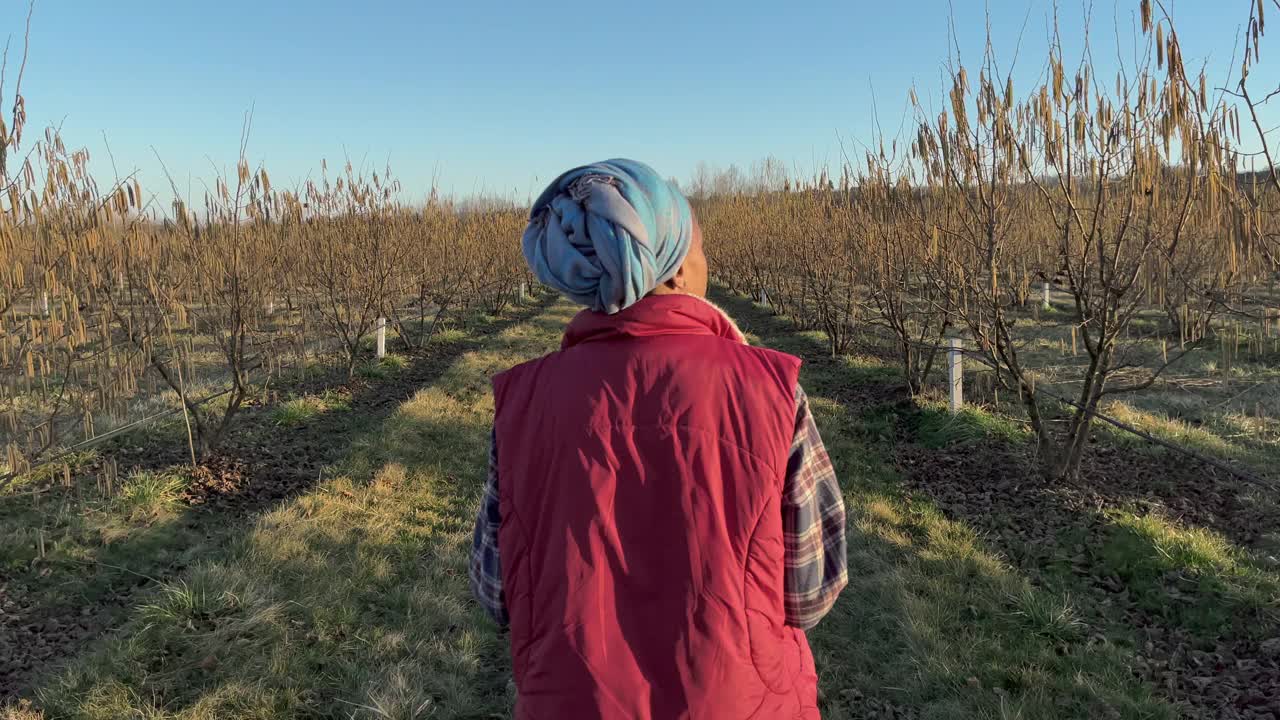 在果园散步的女农民视频素材
