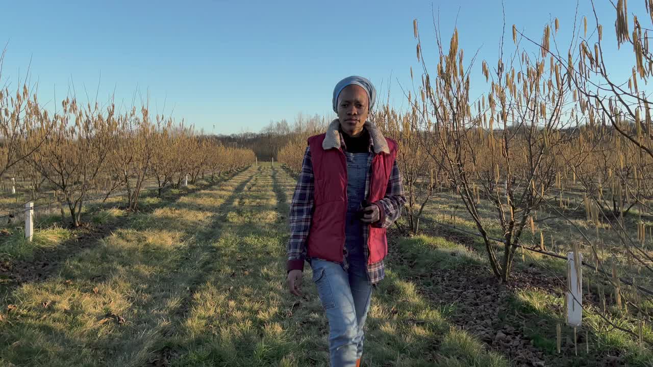 在果园散步的女农民视频素材