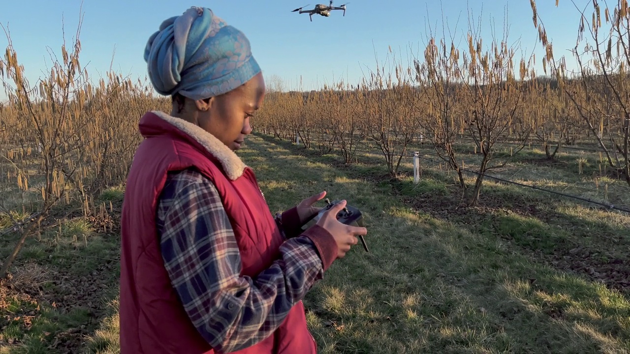 榛果园上空的女农民驾驶无人机视频下载