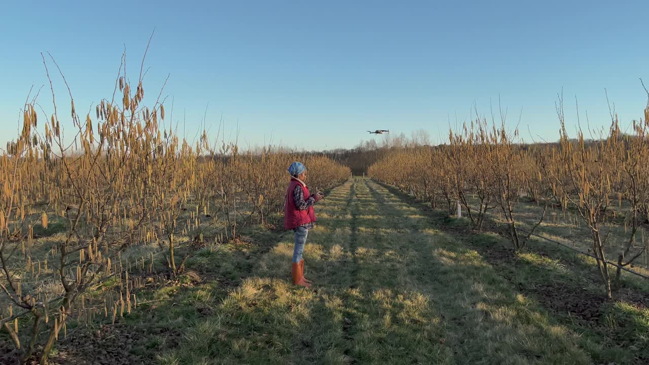 榛果园上空的女农民驾驶无人机视频下载