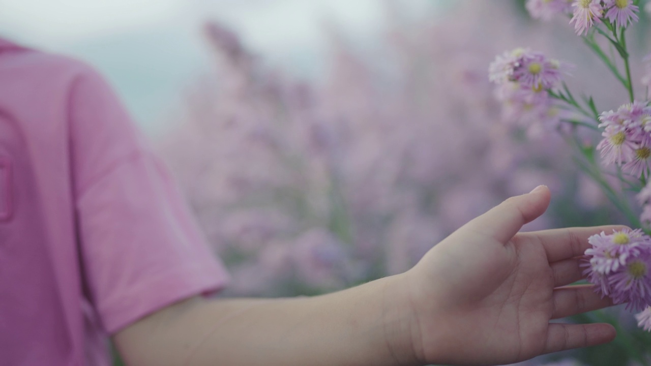 缓慢的运动。女孩的手摸着花的白花。视频素材