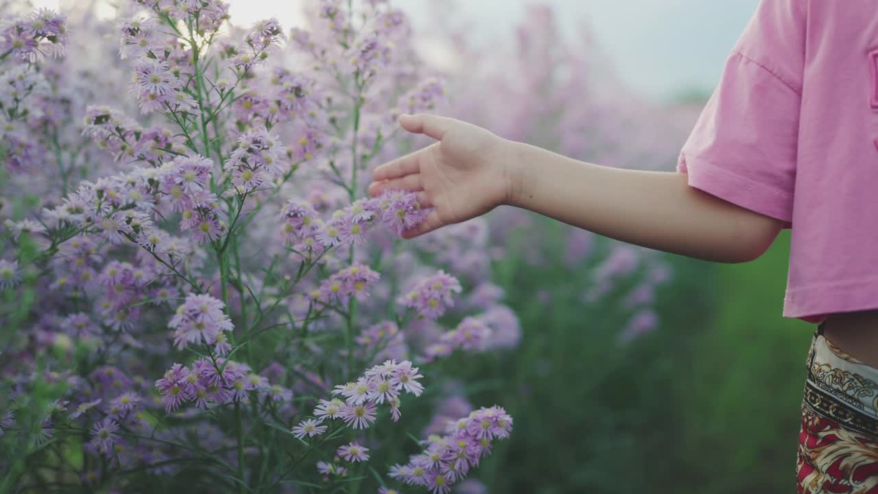 缓慢的运动。女孩用手抚摸着花朵的白花。视频素材