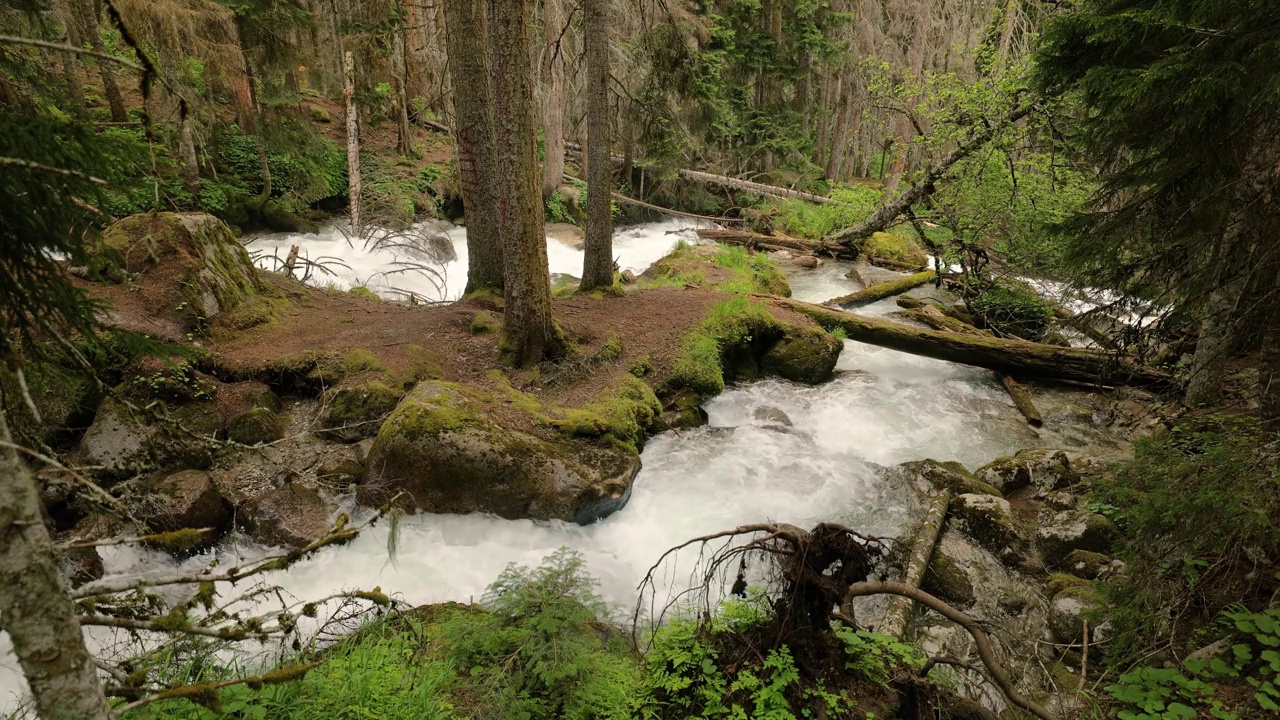 山林中的河流。美丽的野生动物景观。视频素材